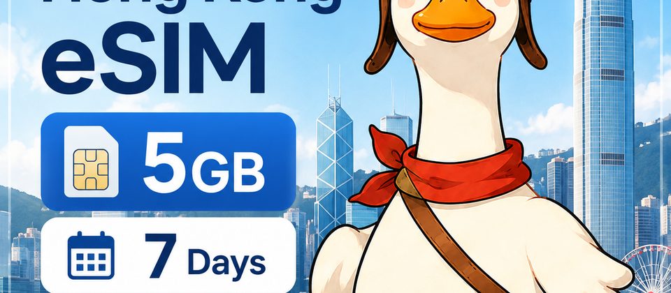 글로벌 eSIM · 3GB