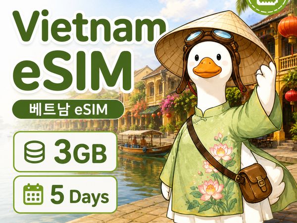 글로벌 eSIM · 3GB