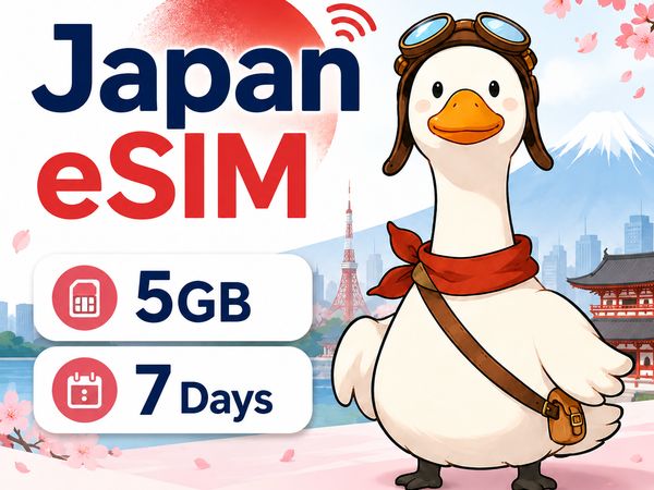 인도네시아 여행 eSIM · 3GB