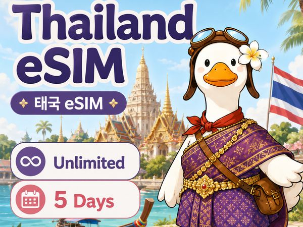 인도네시아 여행 eSIM · 20GB