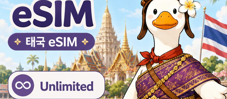 필리핀 여행 eSIM · 20GB
