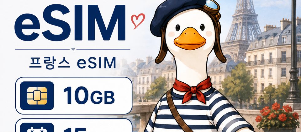 대만 여행 eSIM · 3GB