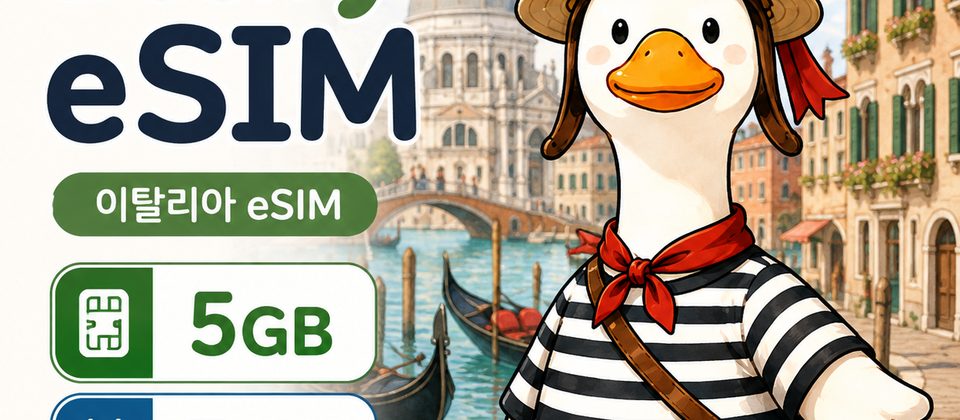 미국 여행 eSIM · 1GB