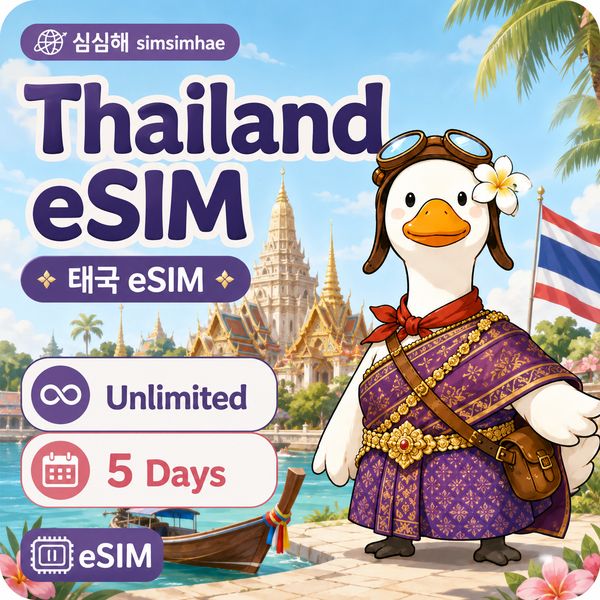 미국 여행 eSIM · 1GB
