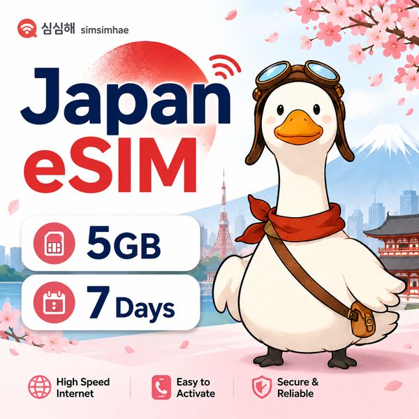 미국 무제한 eSIM · 3일
